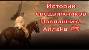 Истории сподвижников. Зайд ибн Хариса (да будет доволен им Аллаh)