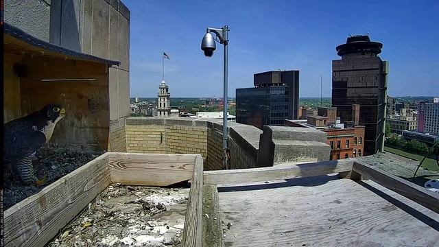 Camera 4 - 05/21/21 смотреть онлайн