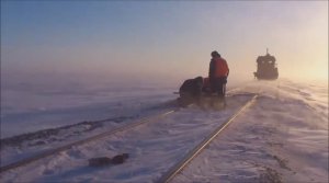 половина жизни