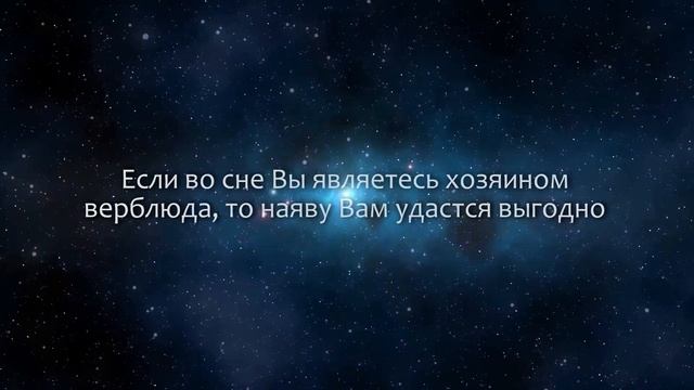 К чему снится Верблюд (Сонник, Толкование снов) смотреть онлайн