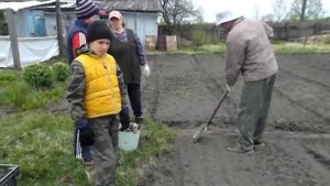 Дети помогают матери сажать картошку.