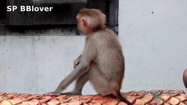 Update - Mss Rose Heal Now And Happy To Stay With Woman SP BBlover смотреть онлайн