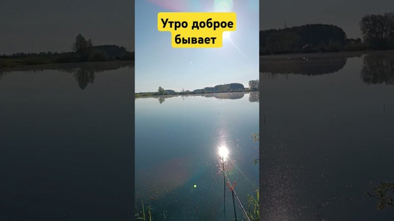 Природа. Утренняя рыбалка #рыбалка #рыба #carpfishing