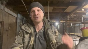 Зерновые, бобовые и масличные культуры - норма ввода для кур. Премикс и подкислитель.