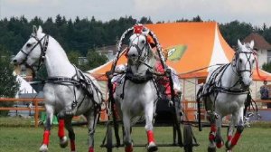 Поручик Голицын Жанна Бичевская