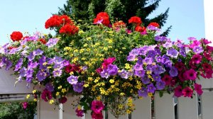 ?Клумбы и цветники Прекрасные идеи декора для дачи и сада / Great garden ideas / A - Video