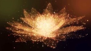 Что значит быть в здесь и сейчас ?