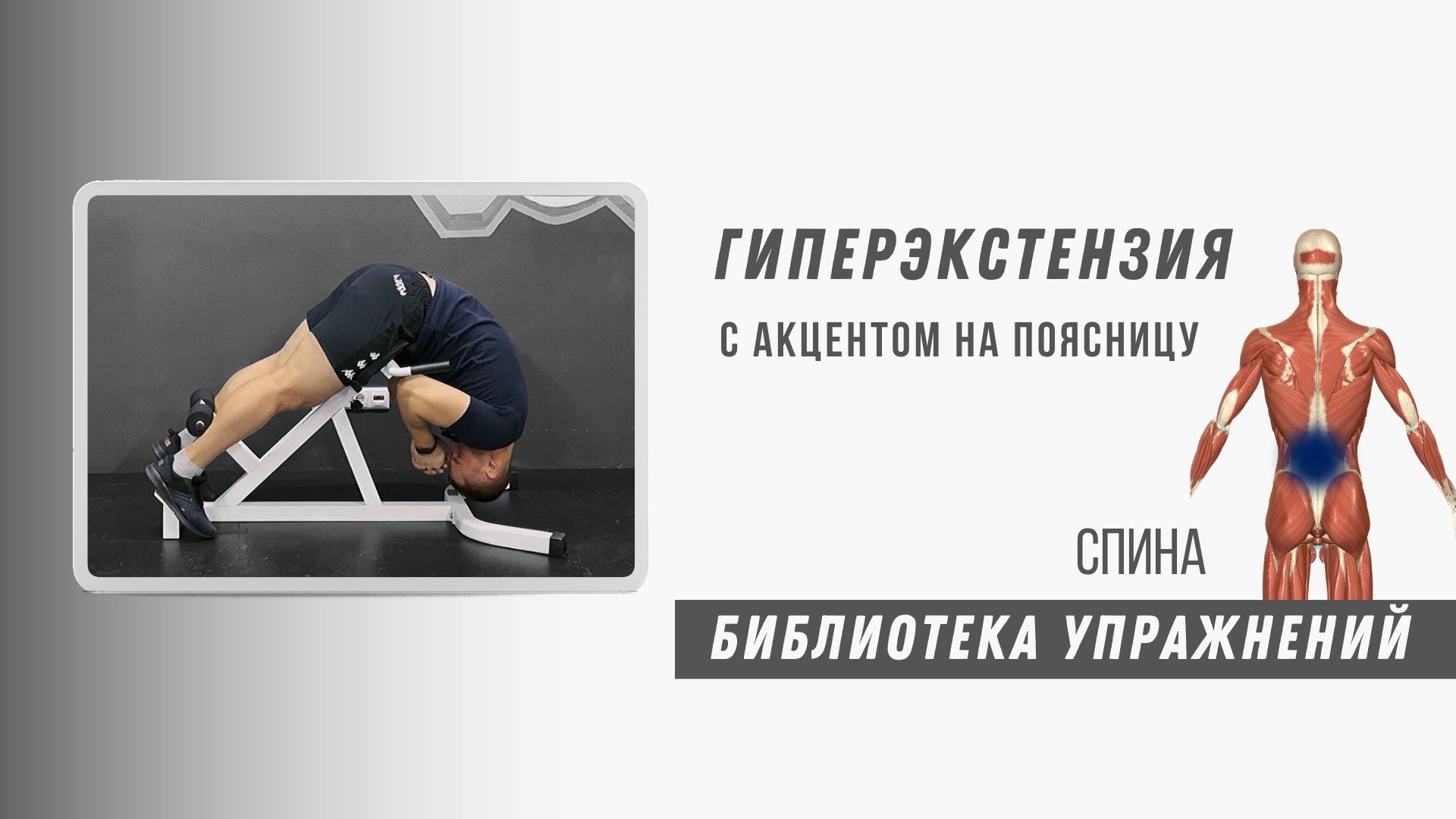 Для КРЕПКОЙ ПОЯСНИЦЫ. После этого упражнения ваша СПИНА ВЫДЕРЖИТ любую нагрузку.