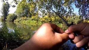 Рыбалка на ультролайт . Голавль. Усач.#голавль #рыбалка #усач #sportex #daiwa