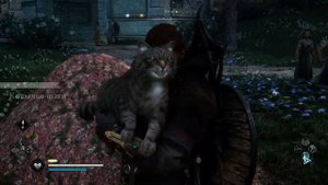 Assassin's Creed Valhalla Кошачьи Шаги