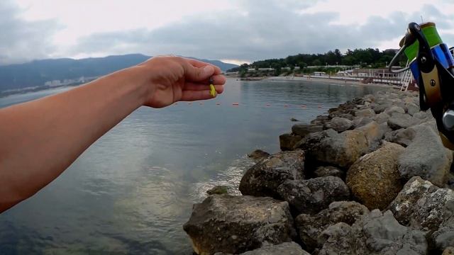 Рыбалка со спиннингом на Чёрном море  Rockfishing  Геленджик