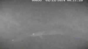 налимы нерест 5 м глубина