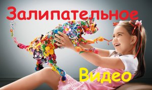 Красивая и потрясающая подборка видео