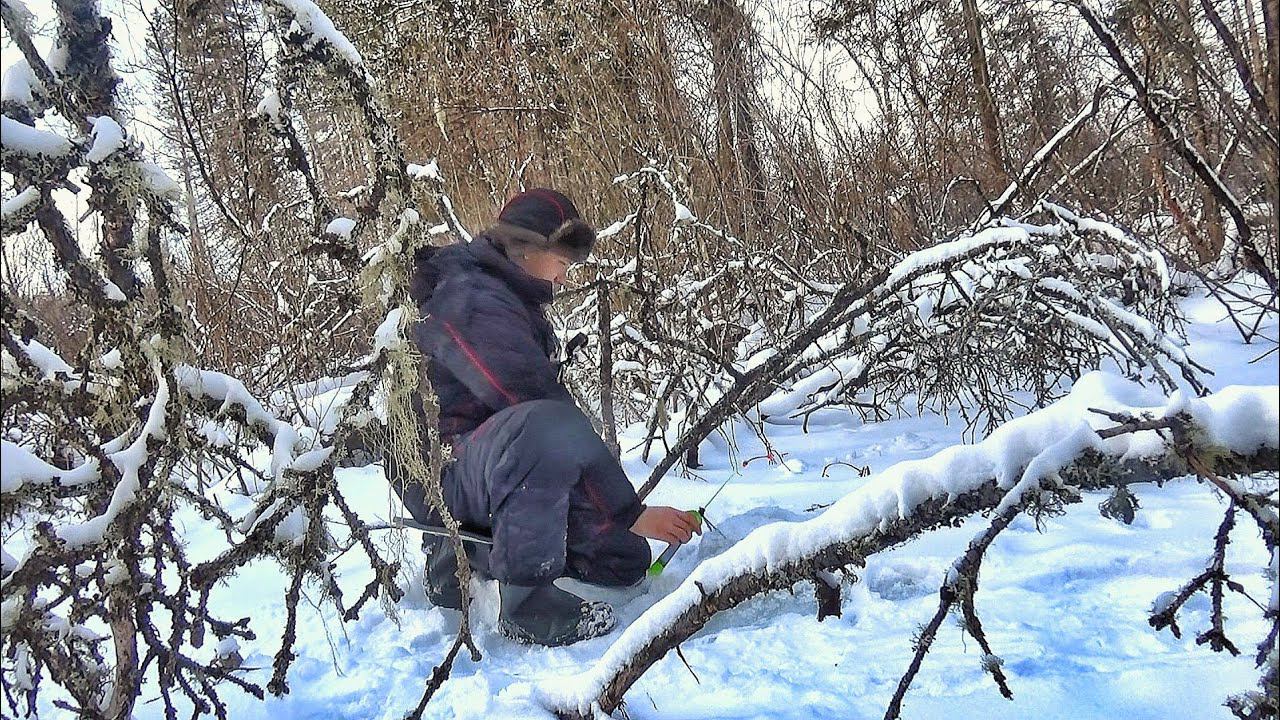 НЕВЕРОЯТНО! РУЧЕЙ ПО КОЛЕНО А РЫБЫ ПОЛНО!!! В ТАЙГЕ ИЩЕМ КРУПНЯК ! РЫБАЛКА НА ХАРИУСА