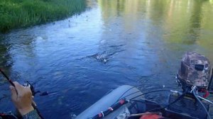 по таёжным рекам в поисках хариуса