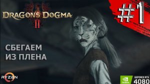 DRAGON'S DOGMA 2 Прохождение №1 - Драгонс Догма 2