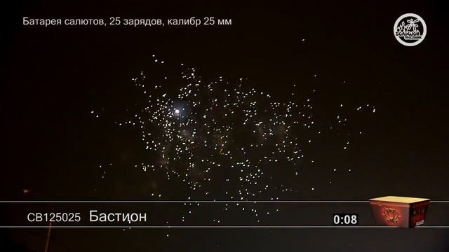 СВ125025 Бастион смотреть онлайн