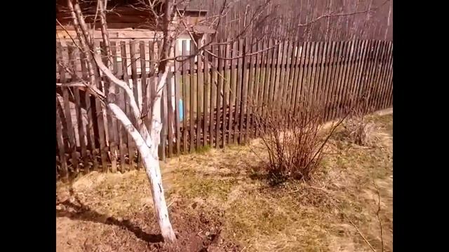 Давай поговорим. Дача. Уборка территории. Начали строить теплицу. (04.17) смотреть онлайн