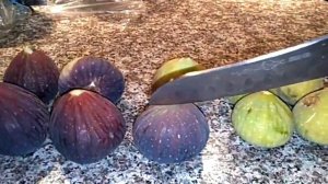 Сравнение трёх сортов инжира: Турецкий коричневый улучшенный, Чёрный Джек, Джанис Кадота .