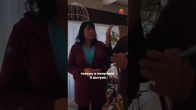 Цигун исцеляет. Жанат Кожамжаров. Наука Сюцай смотреть онлайн