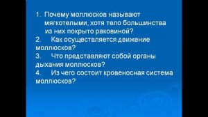 презентация моллюски 7 класс