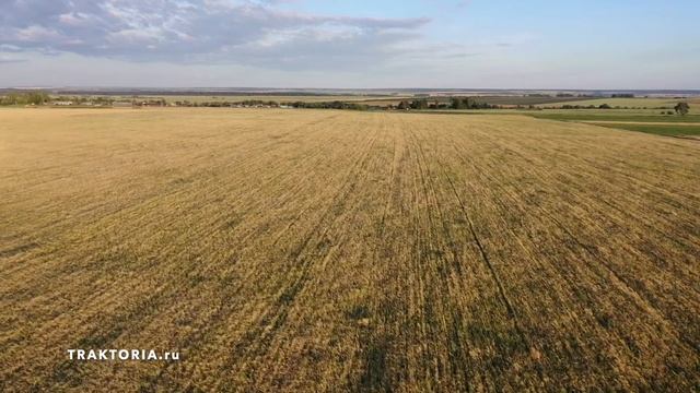 Завораживающие кадры полей! Съемка с квадрокоптера! Трансформация расчистки..