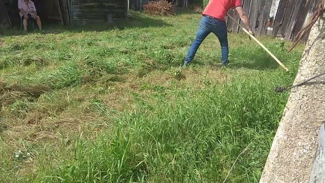 Покос травы при помощи ручной косы. Трава подсохла - Тяжело! смотреть онлайн