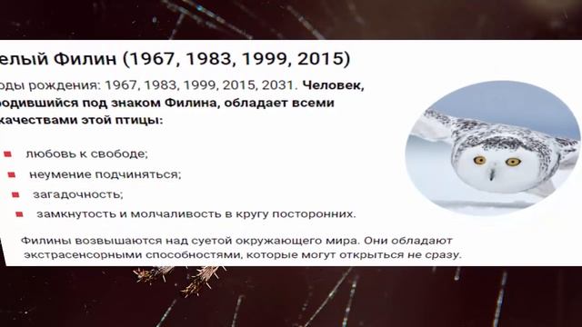 Славянский гороскоп по году рождения. Прядущий мизгирь (20.03.2020 - 15.03.2021) смотреть онлайн