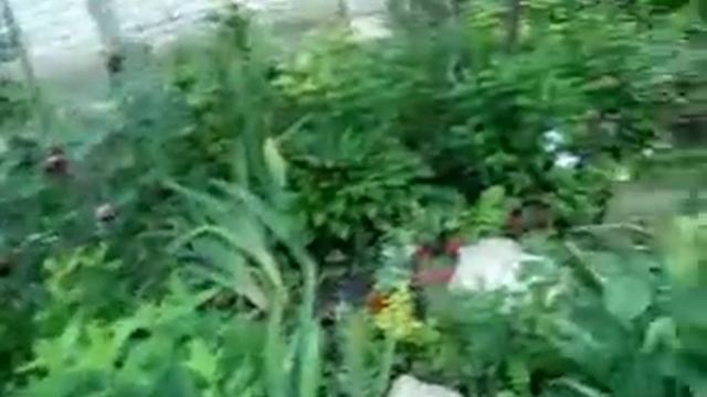 Простой палисадник смотреть онлайн