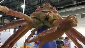 Почему пойманные в России крабы оказываются в заграничных магазинах и ресторанах