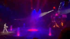 Воронежский цирк 20.11.22г ШОУ ФОНТАНОВ