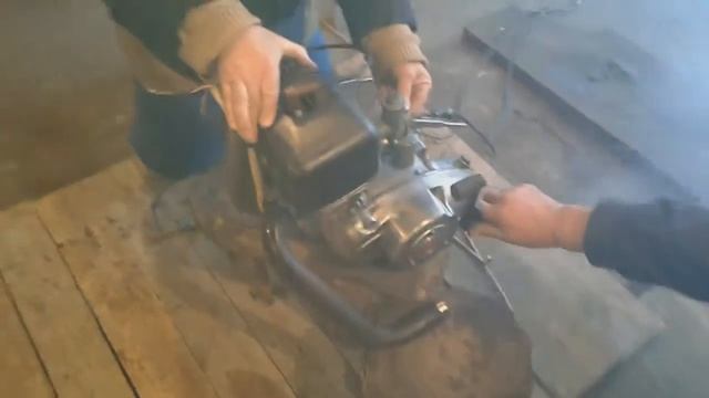 muravej tula radi смотреть онлайн