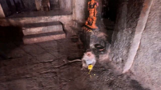 Индия- храм Вирупакши в деревни Хампи, Гоа. смотреть онлайн