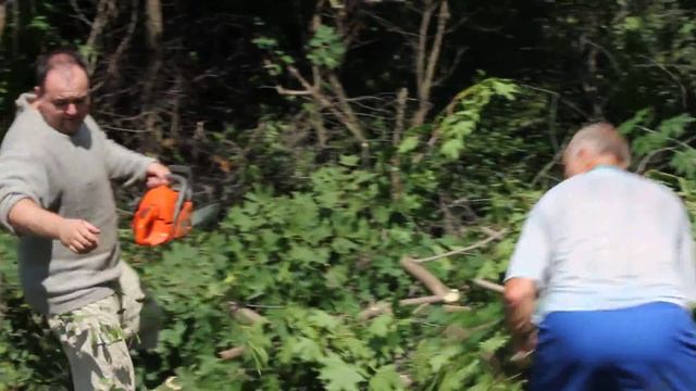 пилим лес....щепки летят смотреть онлайн