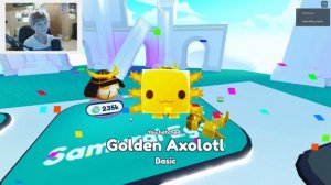 Rainbow Axolotl in Roblox Pet Simulator X!