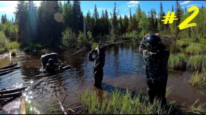 Воскресный выезд на квадроциклах cfmoto и brp, часть 2