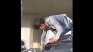 приключения кота майкла и его хозяина