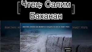 Салим Баханан. Прекрасное чтение