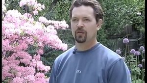 rhodo.ru - Подмосковные рододендроны