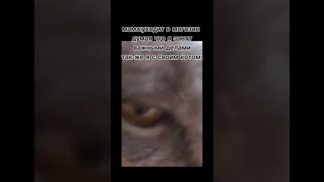 лайк у кого смачный понос👆👆👆👆👆🔥🔥🔥🔥😈😈😈 смотреть онлайн