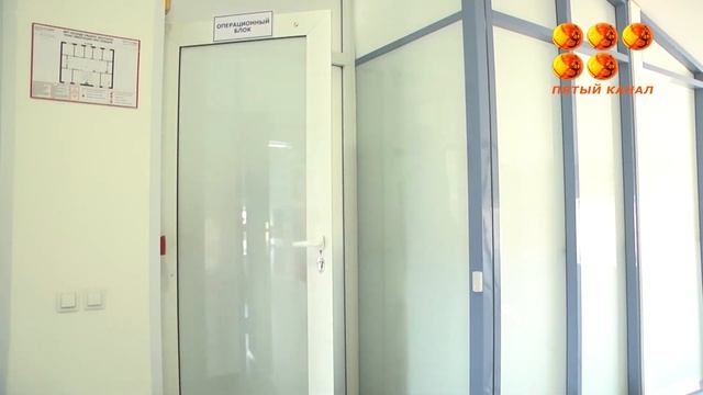 Одна из карагандинских ветеринарных клиник вместе с волонтерами объявили акцию смотреть онлайн