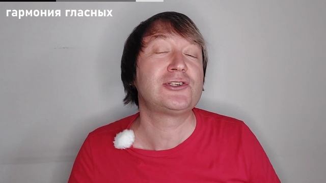Гармония гласных и согласных в турецком языке