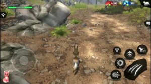 Как получить редкого волка в Wolf Tales Home & Heart