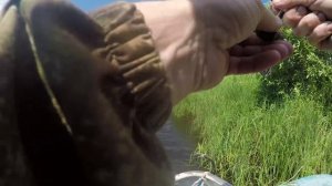 Щука на каждом забросе  Волшебный воблер на малой речке