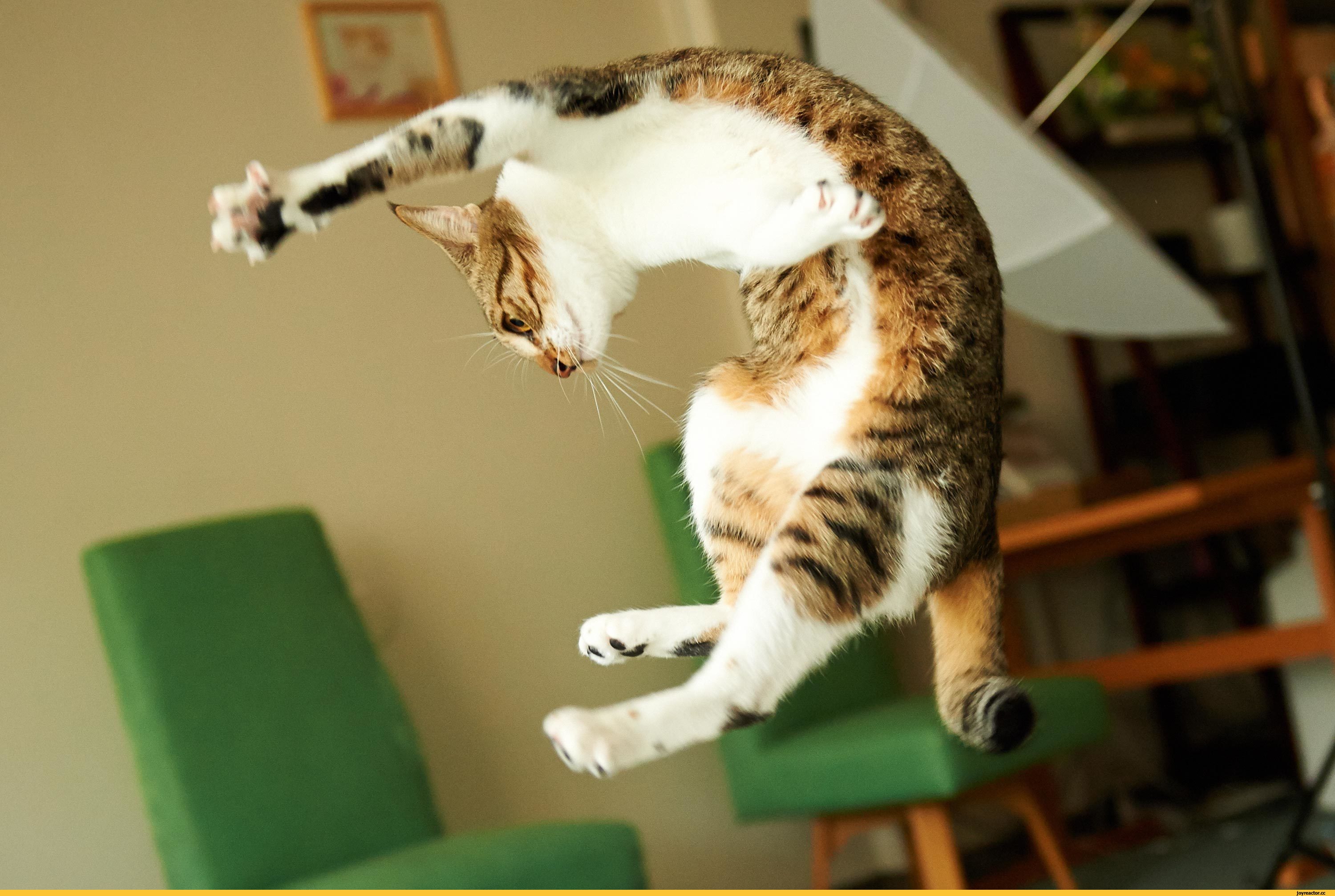  смотреть онлайн