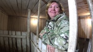 Новые курочки в подворье Кормим поросят Деревенская жизнь