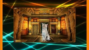 Самая редкая порода кошек «Египетская Мау».