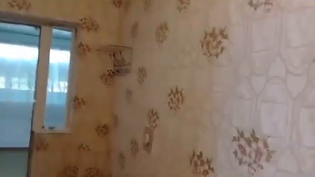 Дальневосточники на Юге//КУПИЛИ ДОМ НА ЮГЕ!Елена Марынина