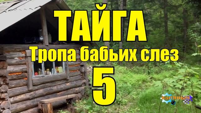 ОТШЕЛЬНИКИ | ЖИЗНЬ В ТАЙГЕ  5 из 16