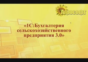 Практика организация ведения учетас использованием БСХП